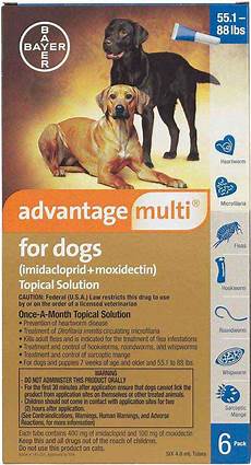 Medicine For Dogs