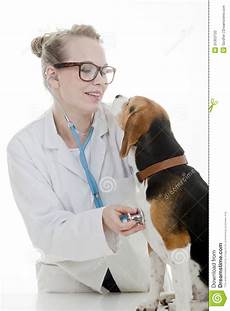 Veterinary Medicine Raw Materials