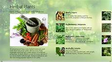 Ayurvedic Medicines