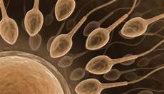 Fertility Medicine