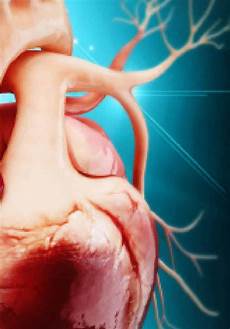 Heart Medicines