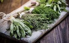Herb Medicines