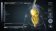 Human Medicine