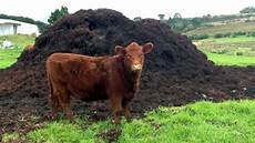 Medicine For Livestock