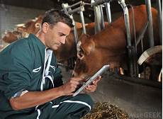 Medicine For Livestock