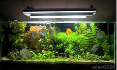 Medicine Tanks