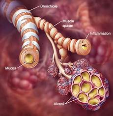 Medicines For Cardiovascular Disease