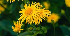 Natural Alternative Medicine