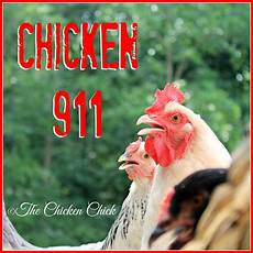 Poultry Medicines