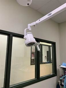 Veterinary Instruments