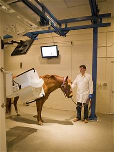 Veterinary Medical