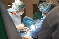 Veterinary Medical