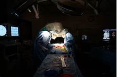 Veterinary Medicine
