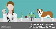 Veterinary Minerals