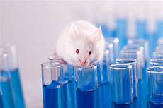 Veterinary Pharmaceutical Products