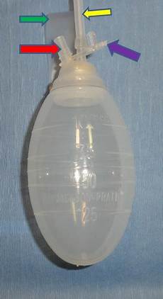 Veterinary Pharmacy