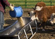 Veterinary Products