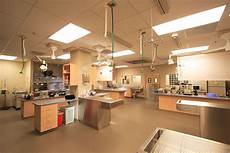 Veterinary Supplies