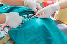 Veterinary Surgery Tables