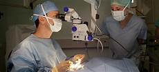 Veterinary Surgical