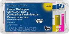 Veterinary Vaccine
